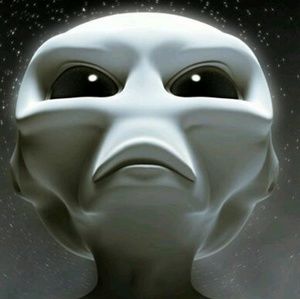 Meet your Posher, Timothy